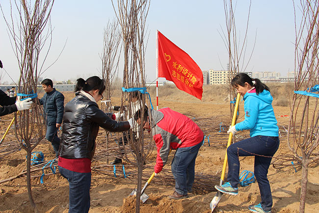 設(shè)計院干部職工在玉符河畔參加義務(wù)植樹活動